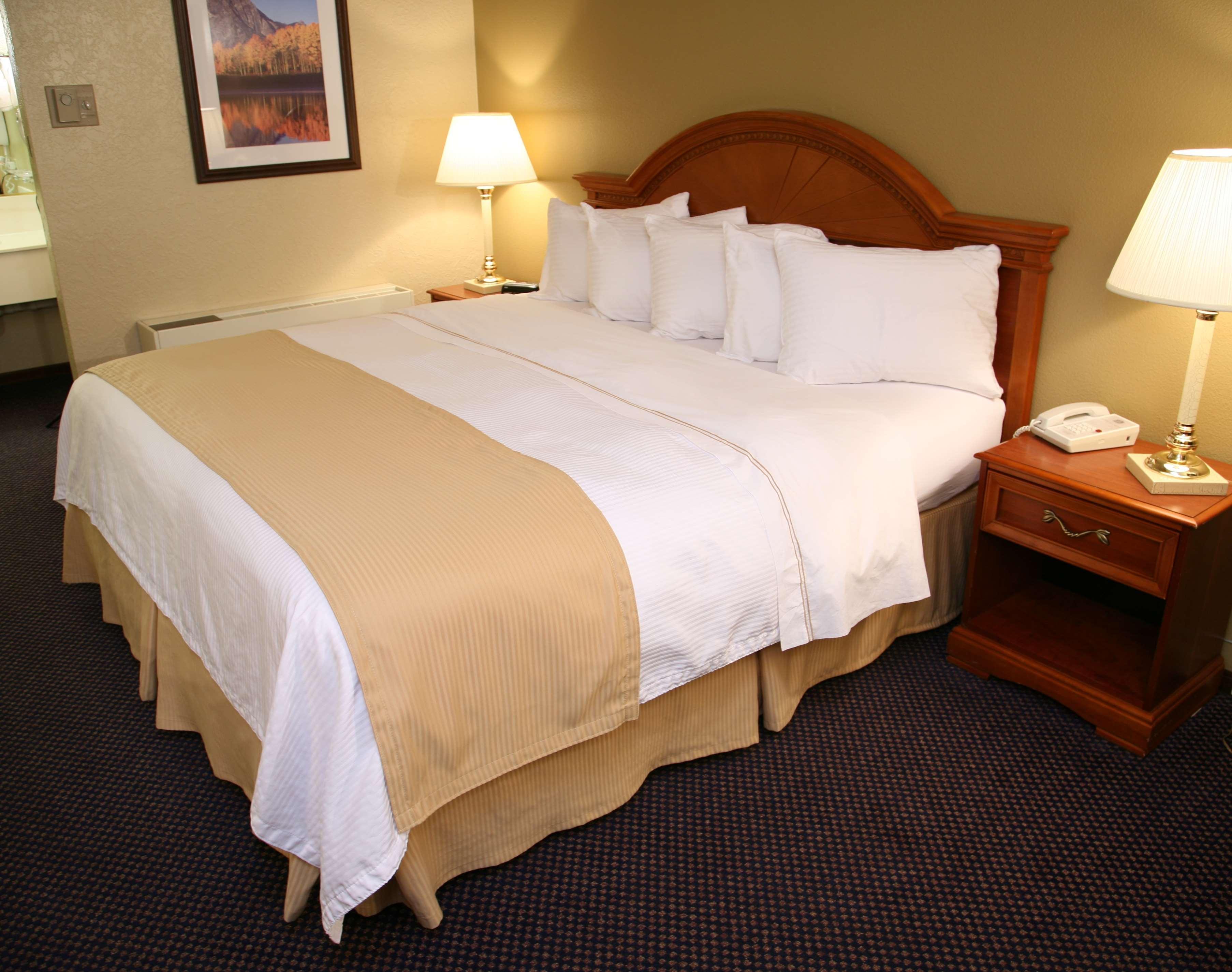 אבנסטון Best Western Dunmar Inn מראה חיצוני תמונה